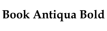 Book Antiqua Bold