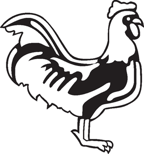 Rooster decal 