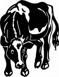 holstein cow decal 4