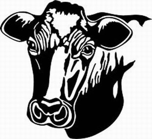 holstein cow decal