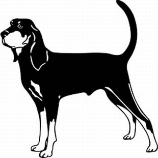 CoonHound Decal