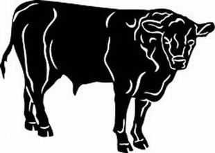 cow1 decal