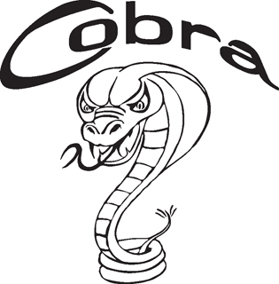 Cobra4