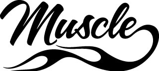 Muscle